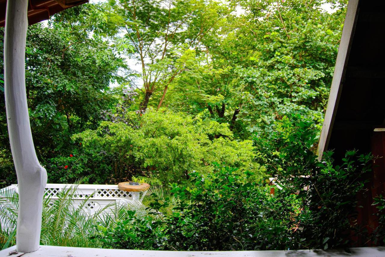 Hacienda Sarah Villa Nosara ภายนอก รูปภาพ